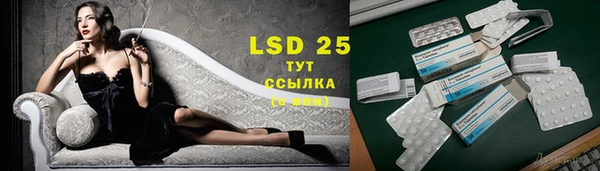 индика Аркадак