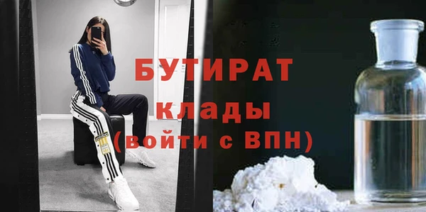 индика Аркадак