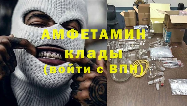 индика Аркадак