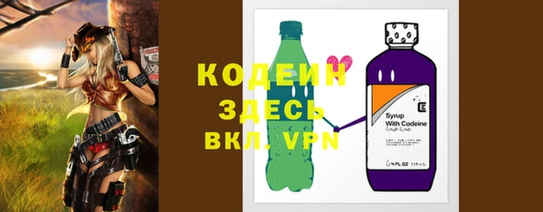 индика Аркадак