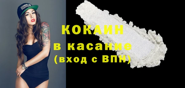 Альфа ПВП Лагань