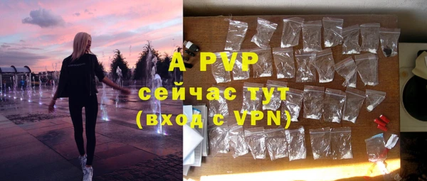 индика Аркадак