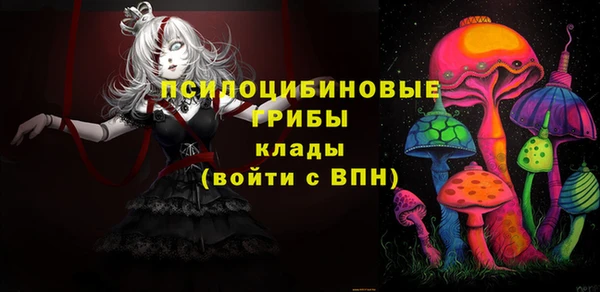 индика Аркадак