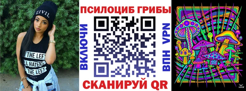 Галлюциногенные грибы Psilocybine cubensis  blacksprut ссылки  Жуковка 